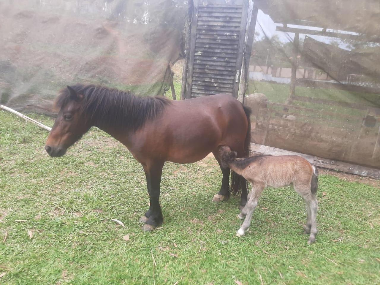 Pousada Kart Clube São João del Rei Zewnętrze zdjęcie